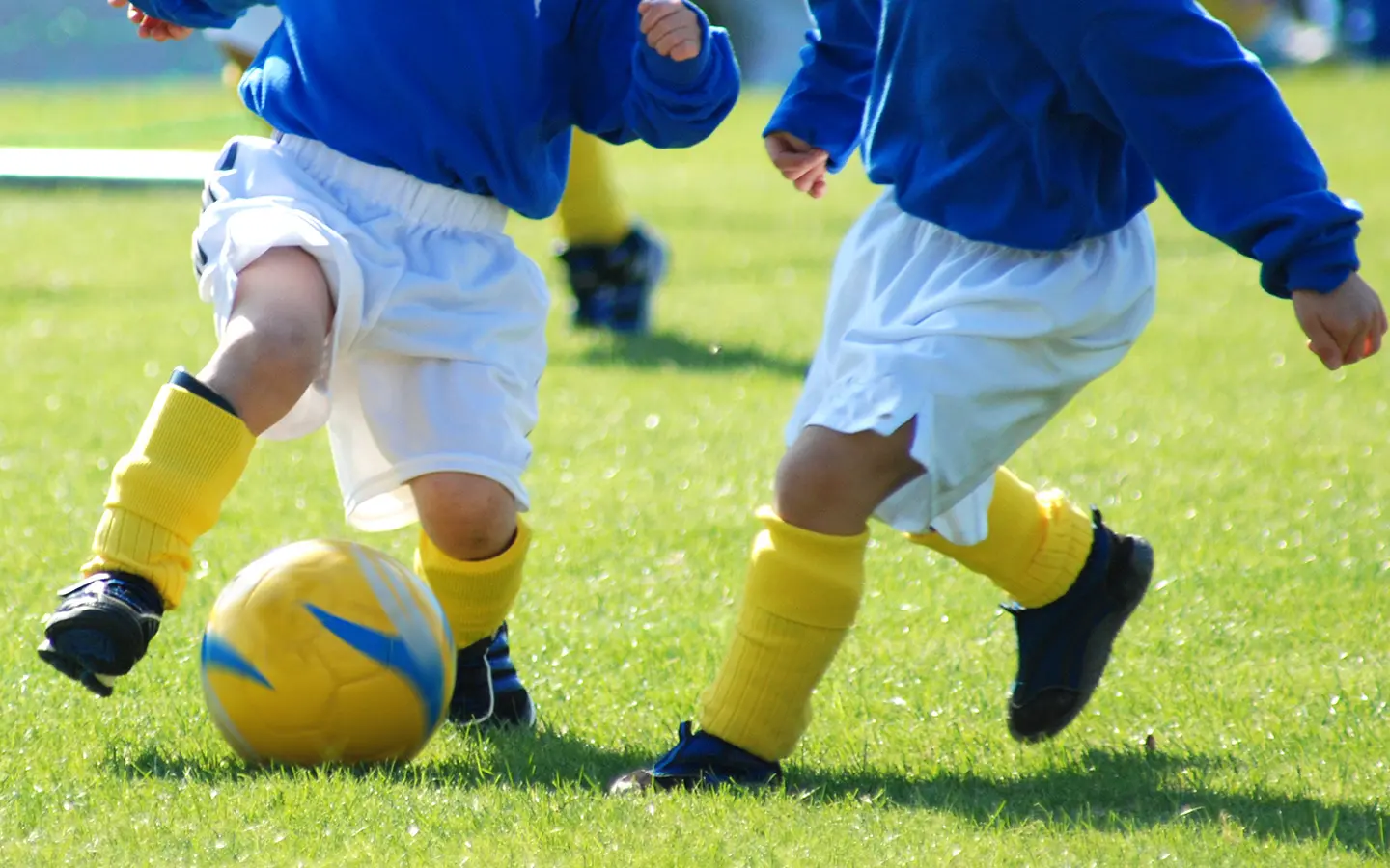 アスリートビジョントレーニング